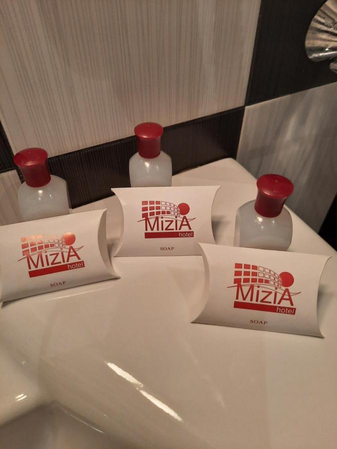 Hotel Mizia トゥルゴヴィシテ エクステリア 写真